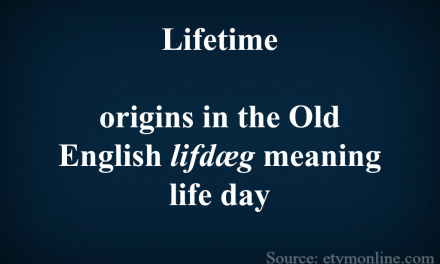 Lifetime etymology